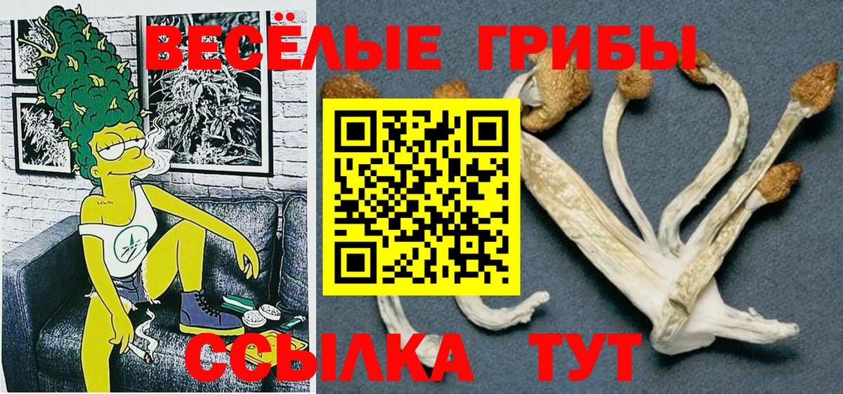Галлюциногенные грибы мицелий Сергиев Посад