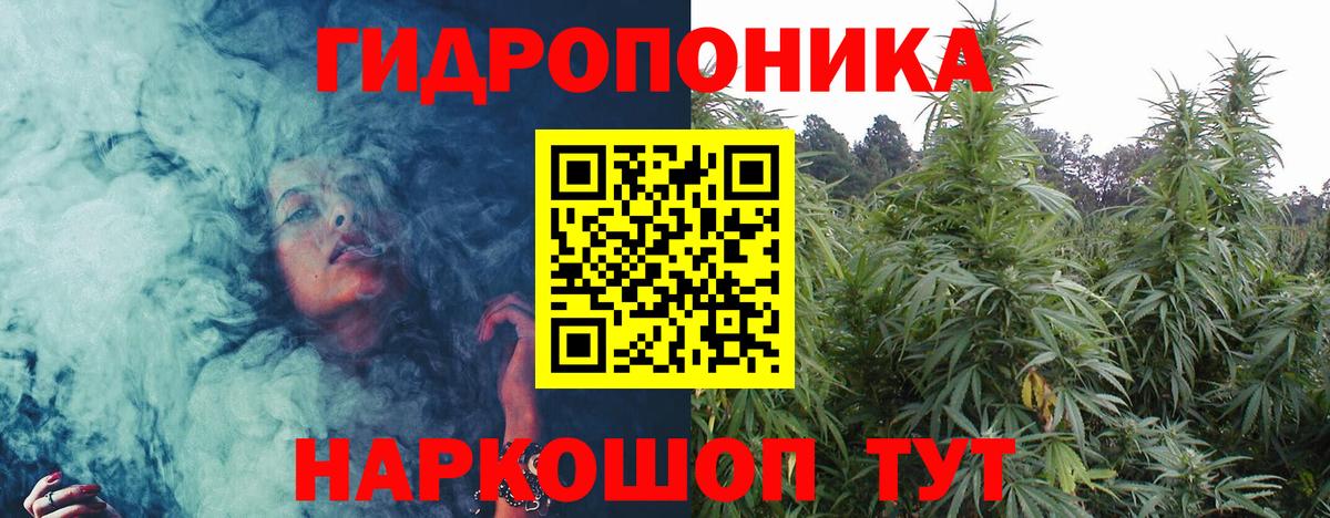 Бошки марихуана гибрид  Конопля планчик  Вход с VPN  Бошки Шишки Bruce Banner  Сергиев Посад 